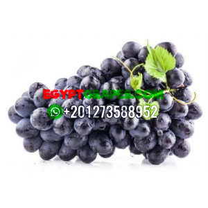 fresh-black-grapes-500x500